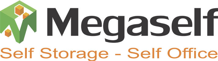 Megaself - Logo
