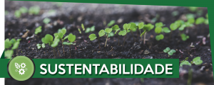 sustentabilidade-self-horta